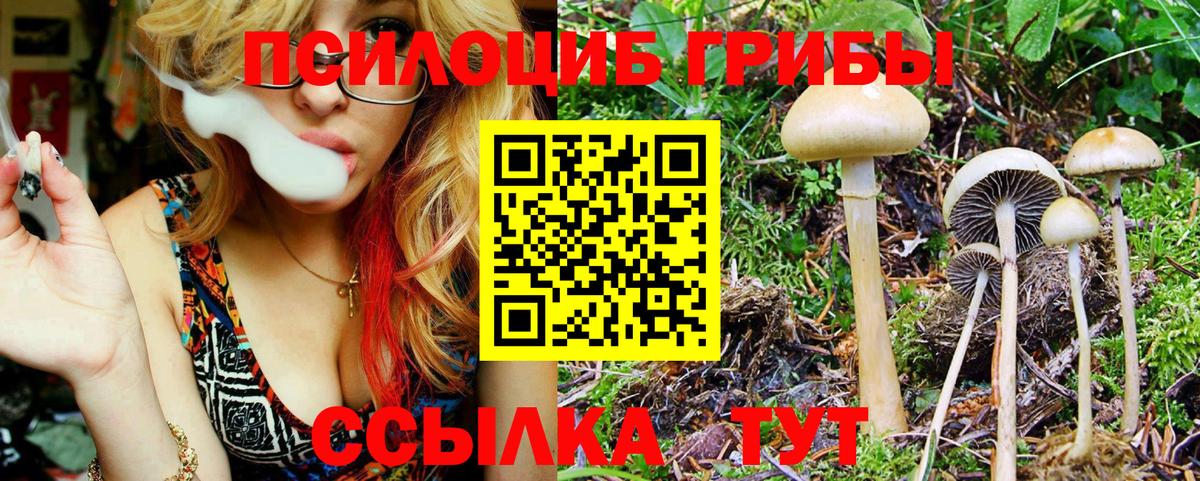 Псилоцибиновые грибы Psilocybine cubensis  Вход с VPN  Коммунар 
