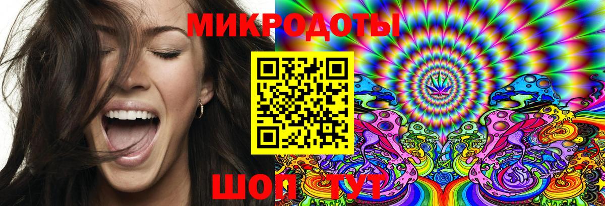 Псилоцибиновые грибы Psilocybe Коммунар